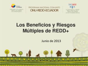 thumbnail of Beneficios y Riesgos Multiples