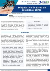 thumbnail of Policy Brief Salud