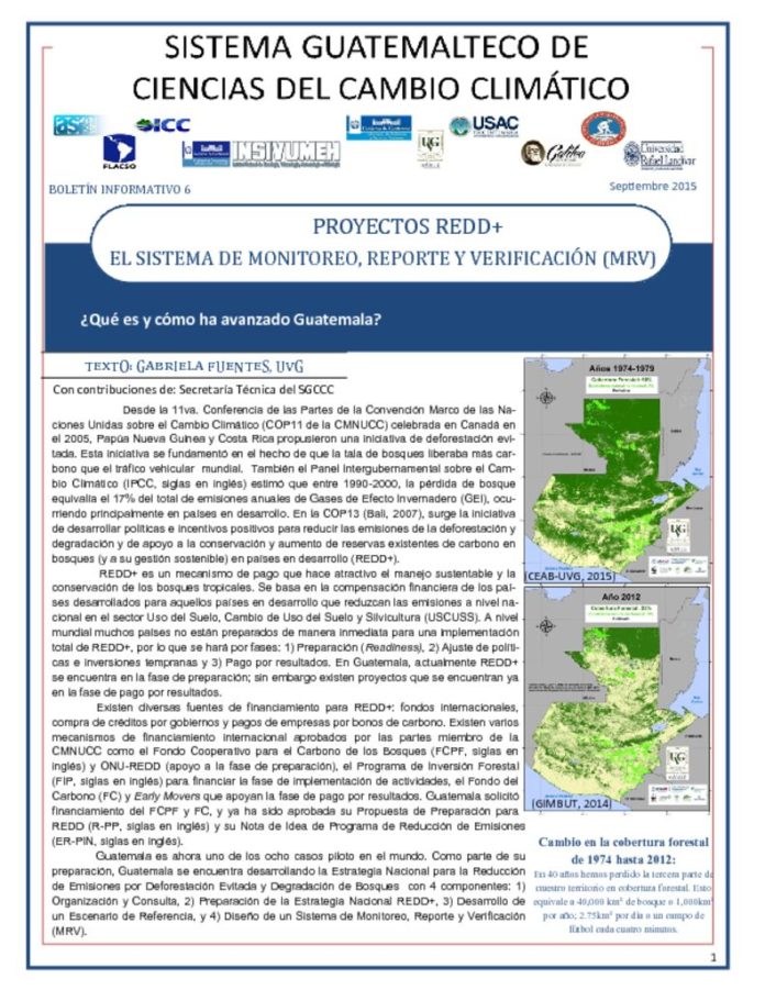 thumbnail of 6. Proyectos REDD+ y MRV_AN_GF_1sep15