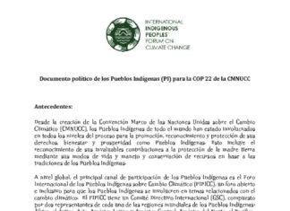 thumbnail of documento-politico-de-los-pueblos-indigenas-cop22