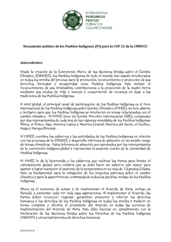 thumbnail of documento-politico-de-los-pueblos-indigenas-cop22