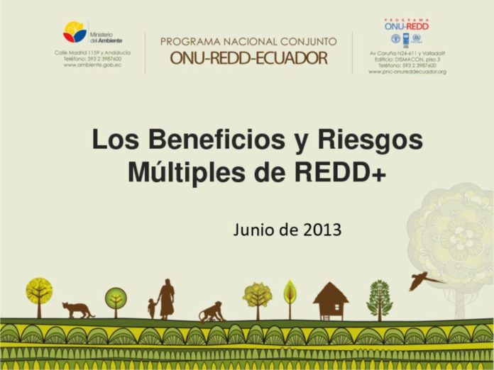 thumbnail of Beneficios y Riesgos Multiples