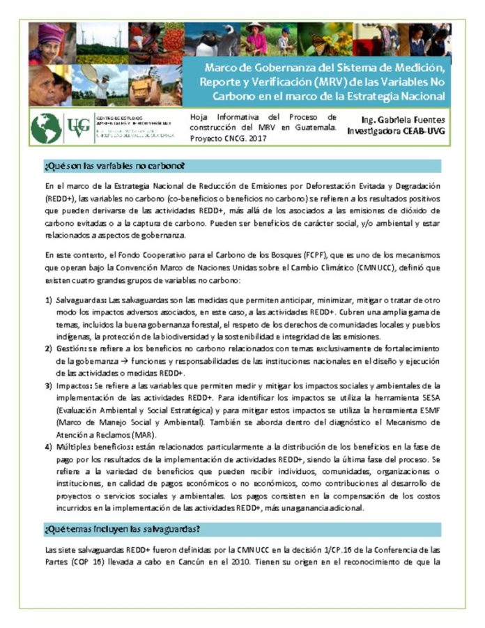 thumbnail of Hoja Informativa_MRV_No Carbono_14feb17