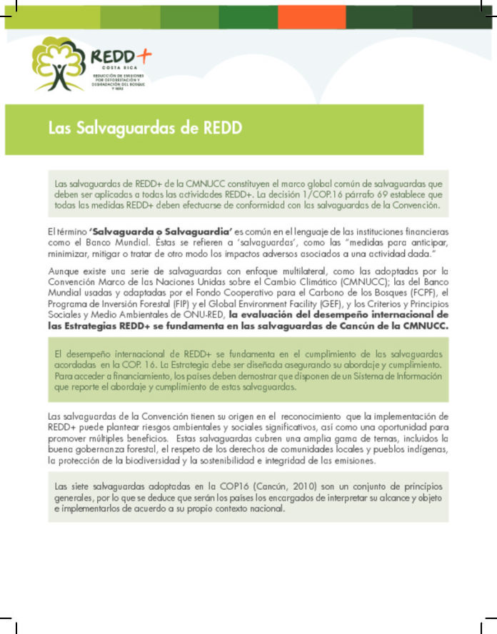thumbnail of Salvaguardas